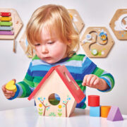 PL085-Bird-House-Wooden-Shapes-Sorter-Toddler-Toy-Boy-2