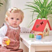PL085-Bird-House-Wooden-Shapes-Sorter-Toddler-Toy-Girl